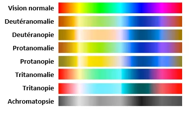 Spectre des couleurs selon le type de daltonisme