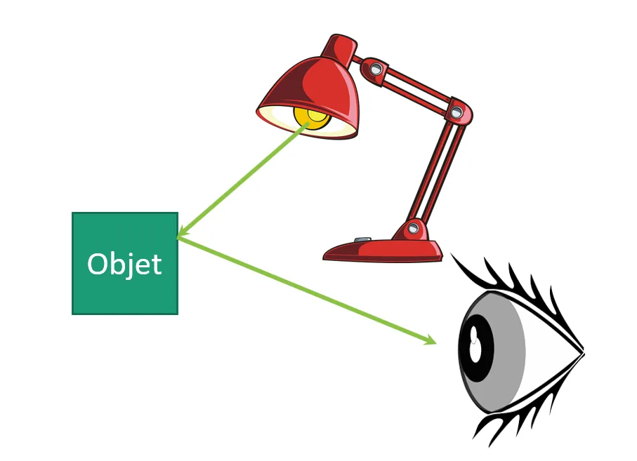 La lumière réfléchie par un objet atteint notre œil