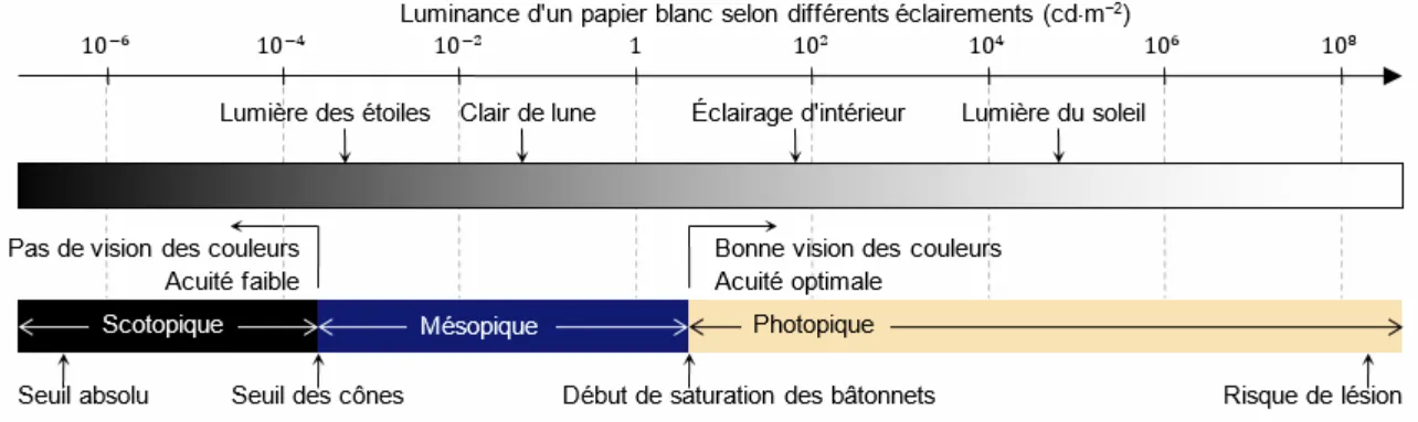 Domaines de vision — photopique, mésopique et scotopique