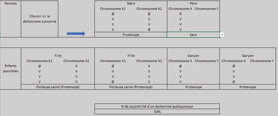 Schéma : mère daltonienne, père sain