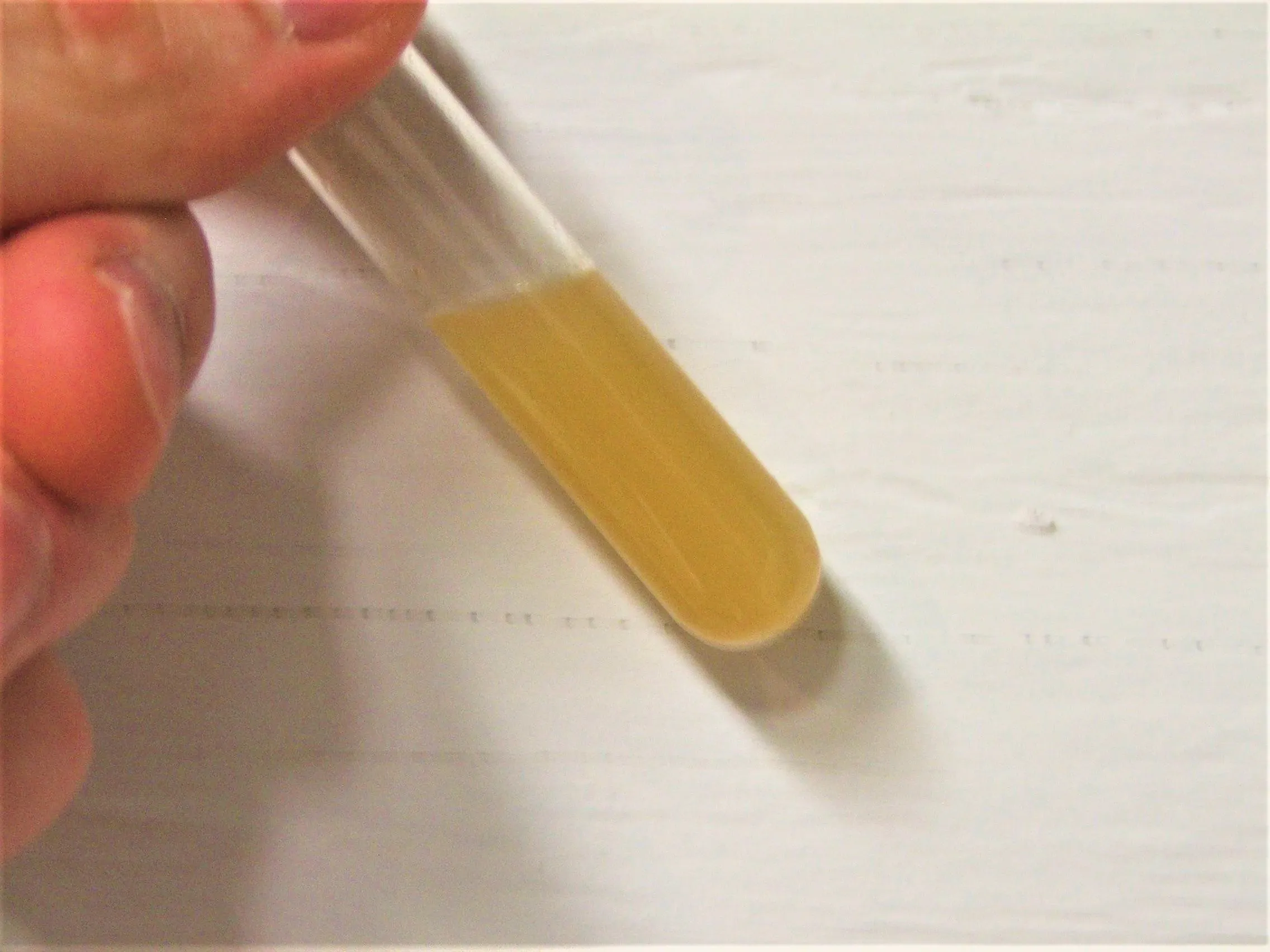 Oxyde de manganèse — exemple de discrimination chromatique en laboratoire