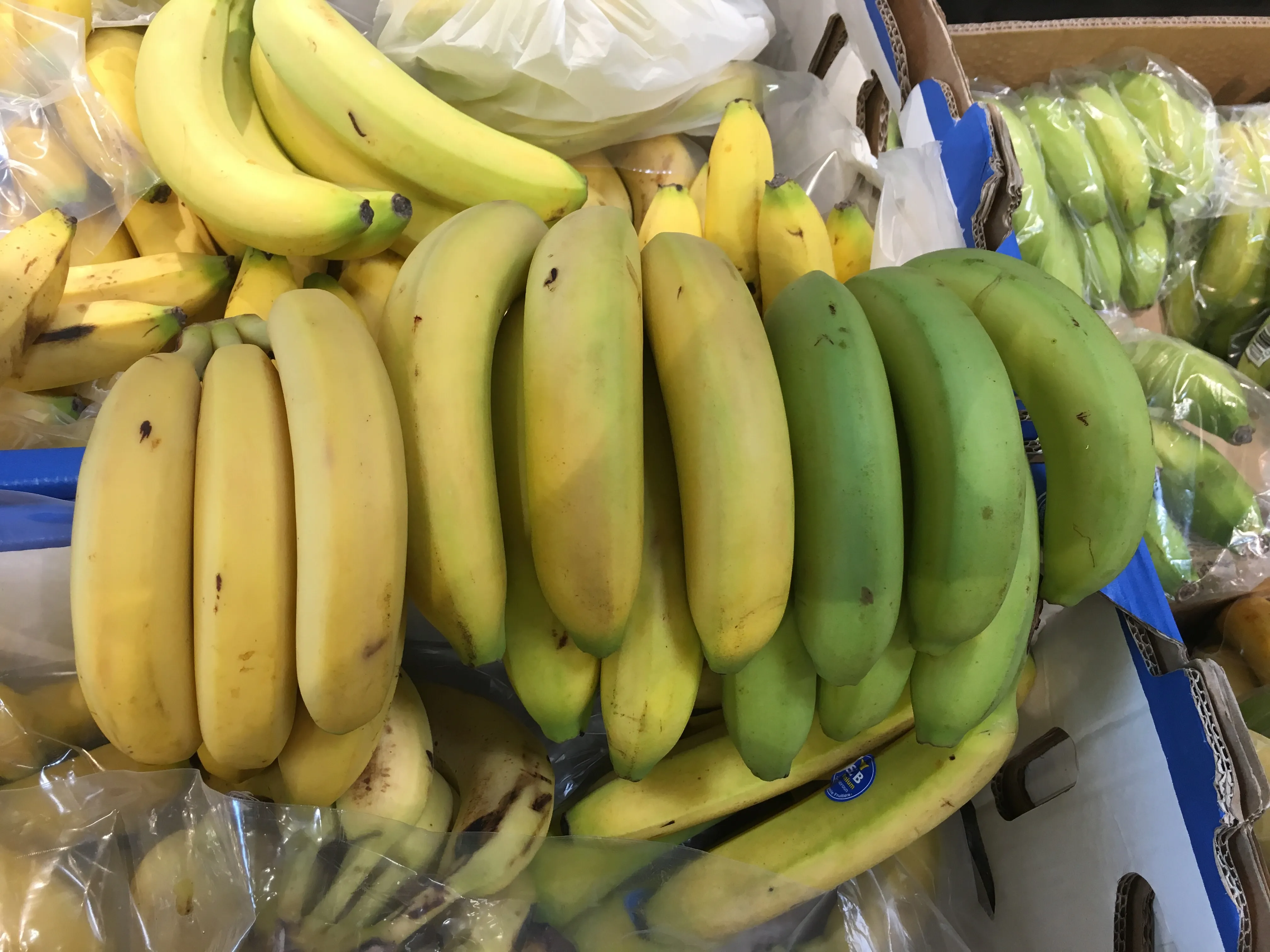 Bananes de la plus mûre à la moins mûre — tri par couleur