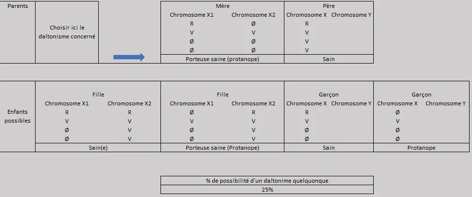 Schéma de transmission : père sain, mère porteuse saine