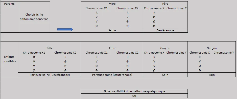 Schéma de transmission : père sain, mère saine